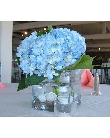 Seaside Wedding